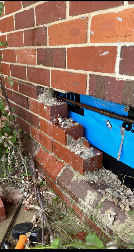 20230122_025149517_iOS